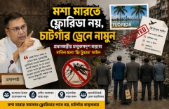 “মশা মারতে ফ্লোরিডা নয়, ডোবার পাশে বসুন”