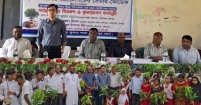 প্রতিটি গাছের চারাকে সন্তানের মতো করে যত্ন নিতে হবে