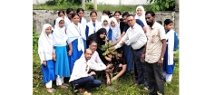 শ্রীপুর উচ্চ বিদ্যালয়ে 'ওয়ান চাইল্ড ওয়ান ট্রি' কর্মসূচি উদ্বোধন