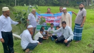 টামটা আদর্শ বিদ্যালয়ে সেমিনার ও বৃক্ষরোপণ কর্মসূচি