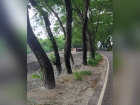 নিজগাছতলায় সরকারি জায়গা থেকে বালু সরিয়ে নিলেন জমির মালিকরা