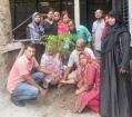 উত্তর পশ্চিম মৈশাদী সরকারি প্রাথমিক বিদ্যালয়ে বৃক্ষরোপণ