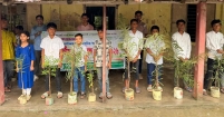আইডিয়াল সমাজসেবা ফাউন্ডেশনের মাছের পোনা অবমুক্তকরণ ও গাছের চারা বিতরণ