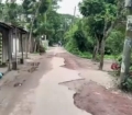 বাগাদী-ঢালীরঘাট সড়কের বেহাল দশা