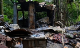 শাহরাস্তিতে মাদকাসক্ত ছেলের দেয়া আগুনে পুড়লো পিতার বসতঘর