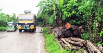 দু  কিলোমিটার অংশ মরণ ফাঁদে পরিণত