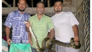 বসতঘরের সিলিং থেকে ১২ ফুট লম্বা অজগর উদ্ধার