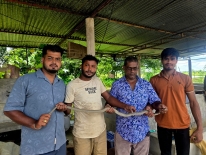 শ্রীমঙ্গলে লোকালয় থেকে ৪টি বন্যপ্রাণী উদ্ধার
