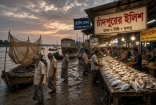 ইলিশের আকাল : হরিণা ঘাটে প্রতারণার শিকার ক্রেতারা