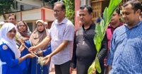 খেরুদিয়া দেলোয়ার হোসেন উচ্চ বিদ্যালয় ও কলেজের ছয় শতাধিক শিক্ষার্থীর মাঝে গাছের চারা বিতরণ