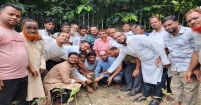 প্রতিষ্ঠাবার্ষিকী উপলক্ষে খাদেরগাঁও ইউনিয়ন বিএনপির বৃক্ষরোপণ কর্মসূচি পালন