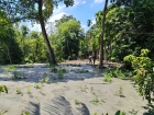 মতলবের শীলমন্দিতে নিষেধাজ্ঞা অমান্য করে জমিতে বালু ফেলার অভিযোগ