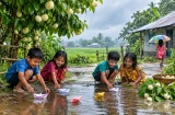 শৈশবের ফেলে আসা দিনগুলো