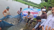 ফরিদগঞ্জে জলাশয়ে দেশীয় প্রজাতির পোনা মাছ অবমুক্ত