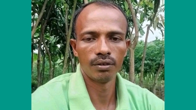 হাজীগঞ্জে সাপের কামড়ে কৃষকের মৃত্যু