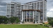 ড্যাফোডিলের এ শ্রেষ্ঠত্ব হোক টেকসই