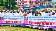 মতলব উত্তরে মহানবী (সা.)-কে নিয়ে কটূক্তির প্রতিবাদে মানববন্ধন ও বিক্ষোভ মিছিল