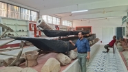হিমালয় কন্যা পঞ্চগড় : প্রশান্তির নীড়
