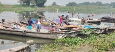 চরাঞ্চলে অভিযান নেই, প্রকাশ্যে বিক্রি হচ্ছে মা ইলিশ