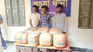 কচুয়ায় র‍্যাবের অভিযানে ৫০ কেজি গাঁজাসহ তিন মাদক ব্যবসায়ী গ্রেফতার