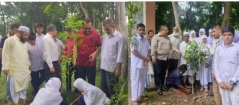 হাজী সিদ্দিকুর রহমান ও পাঁচআনি উচ্চ বিদ্যালয়ে পরিবেশ সচেতনতামূলক র‍্যালি ও বৃক্ষরোপণ