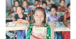 উচ্চশিক্ষার সংকটের গোড়া নিম্নশিক্ষার দুর্বল ভিতে