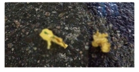 রাজধানীতে রাতের নিস্তব্ধতায় ককটেল বিস্ফোরণ!